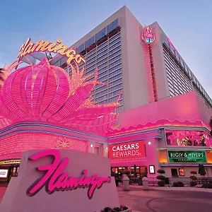Flamingo Vegas & Casino Θέρετρο